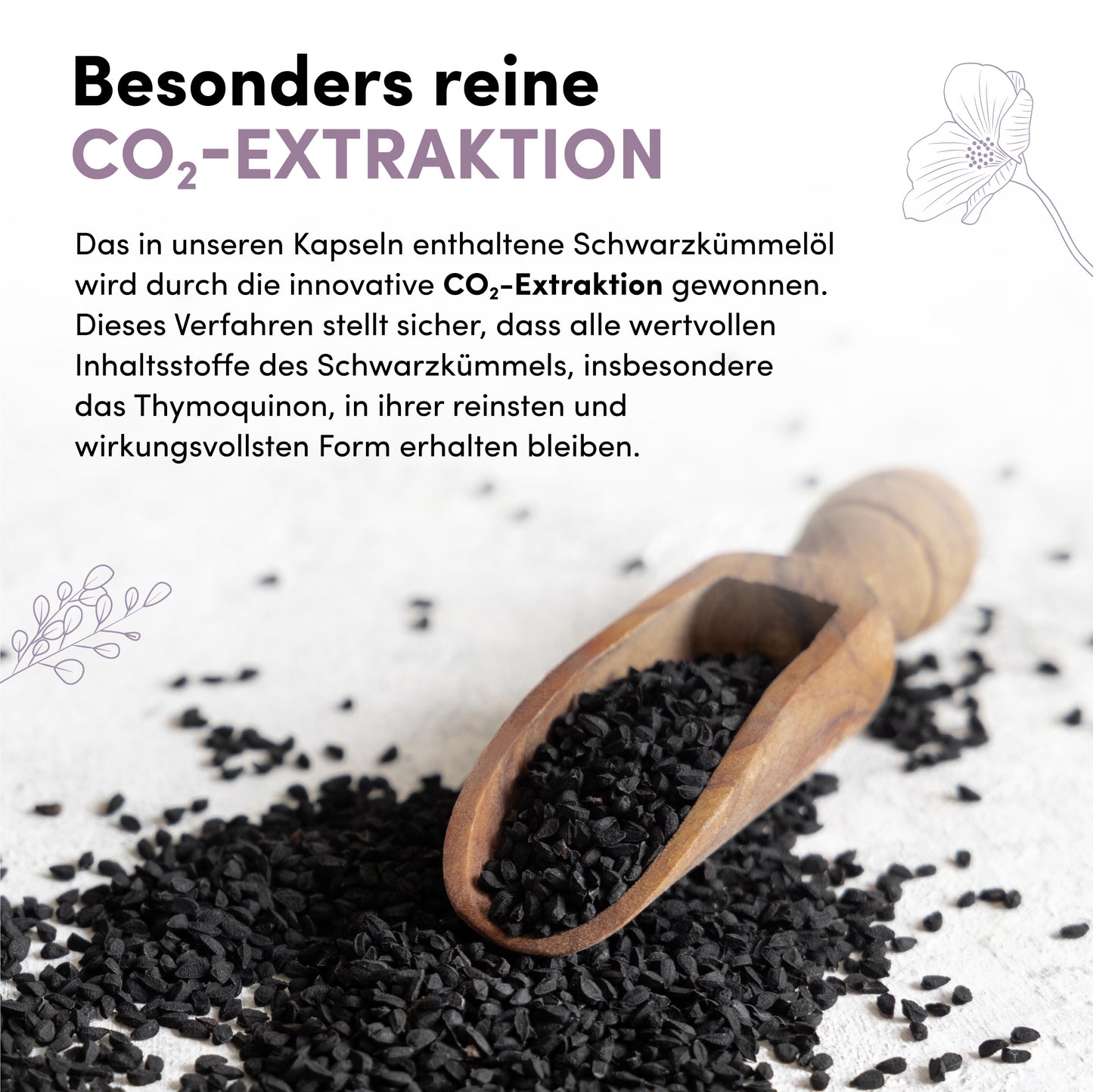 Capsule molli di olio di cumino nero