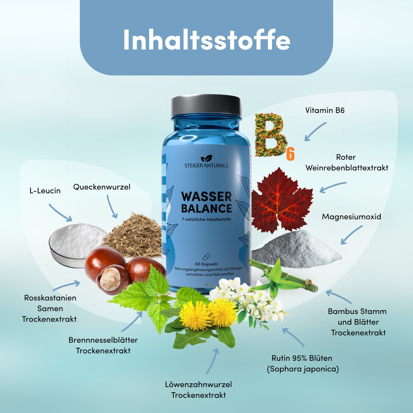 6er Set Wasser Balance - natürlicher Entwässerungs-Komplex
